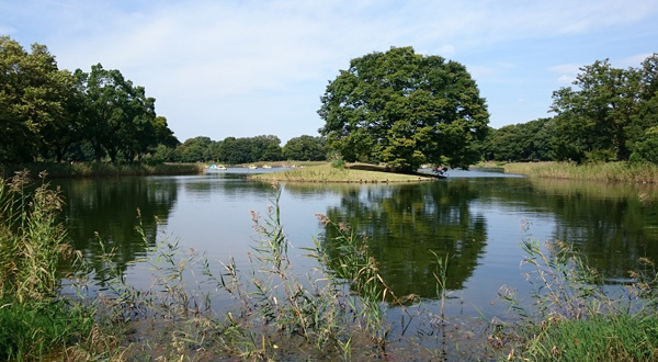 showa_park08.jpg